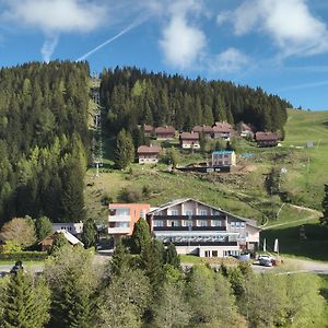 Hotel Alpengasthof Hochegger